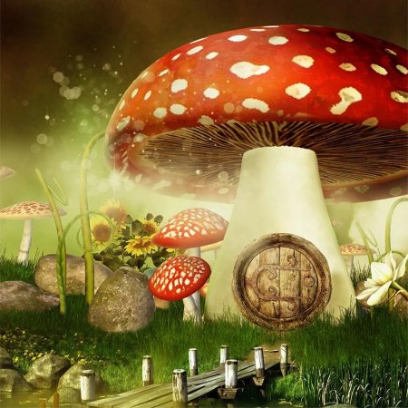 Картина amanita muscaria