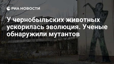 Зона отчуждения чернобыльской аэс