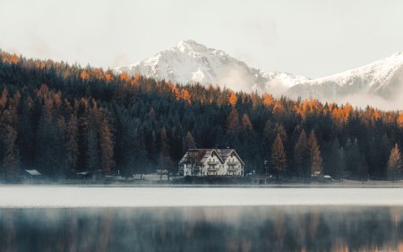 Дом в лесу у озера