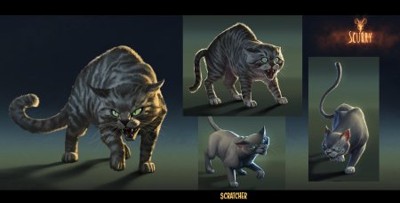 Кот концепт