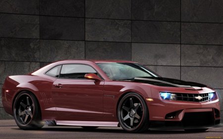 Chevrolet camaro v