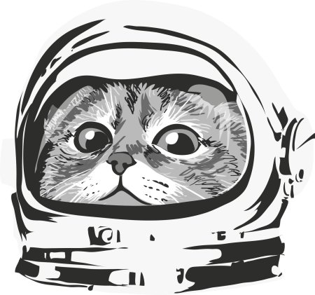Кот космонавт