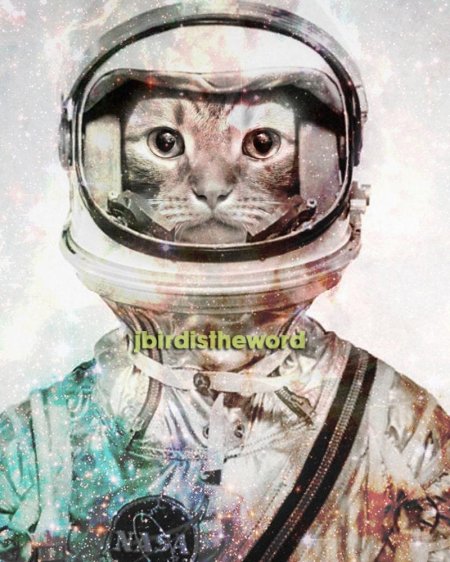 Кот космонавт арт