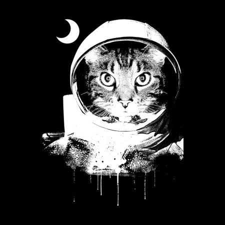 Кот космонавт