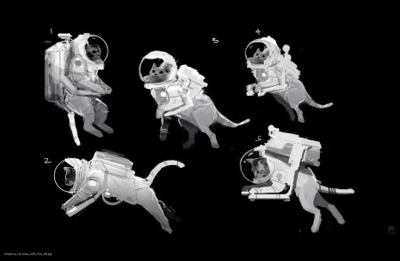 Кот космонавт