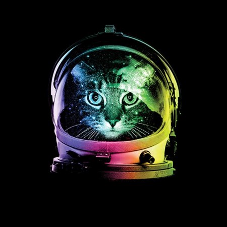 Кот космонавт