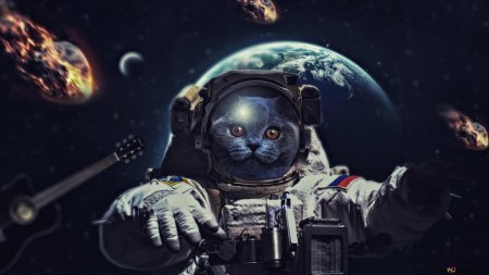 Кот космонавт