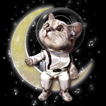 Кот космонавт