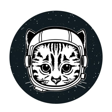 Кот космонавт