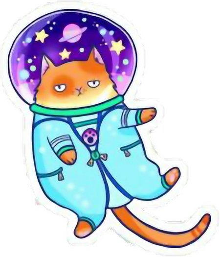 Космический котик