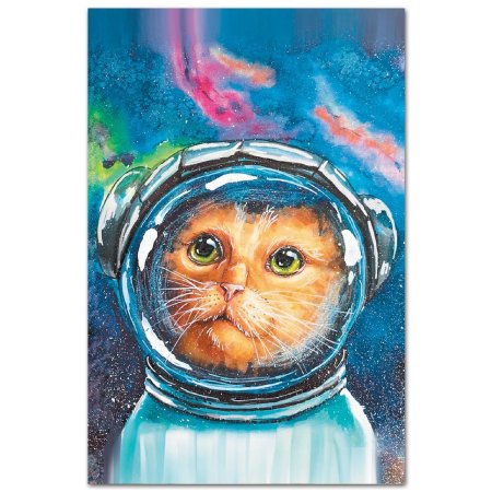 Кот космонавт